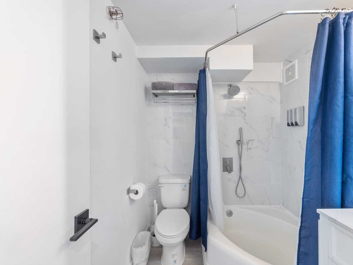Walk-in shower and toilet in the bathroom