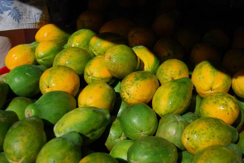 Ripe yellow and green papayas.