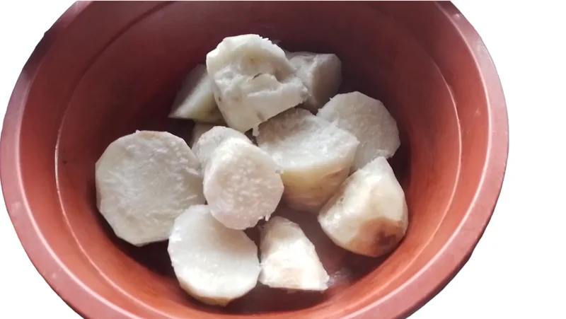 Cooked taro pieces in a bowl.